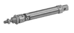 009.27.006 Pneumatische cilinder, Pneumatic Cylinder Dunnewolt 